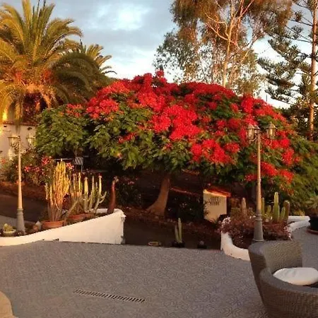 Stylische Casa Flores Alcala (Tenerife)