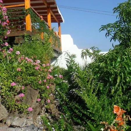 Casa Flores *